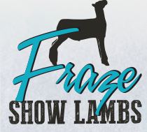 Fraze Show Lambs
